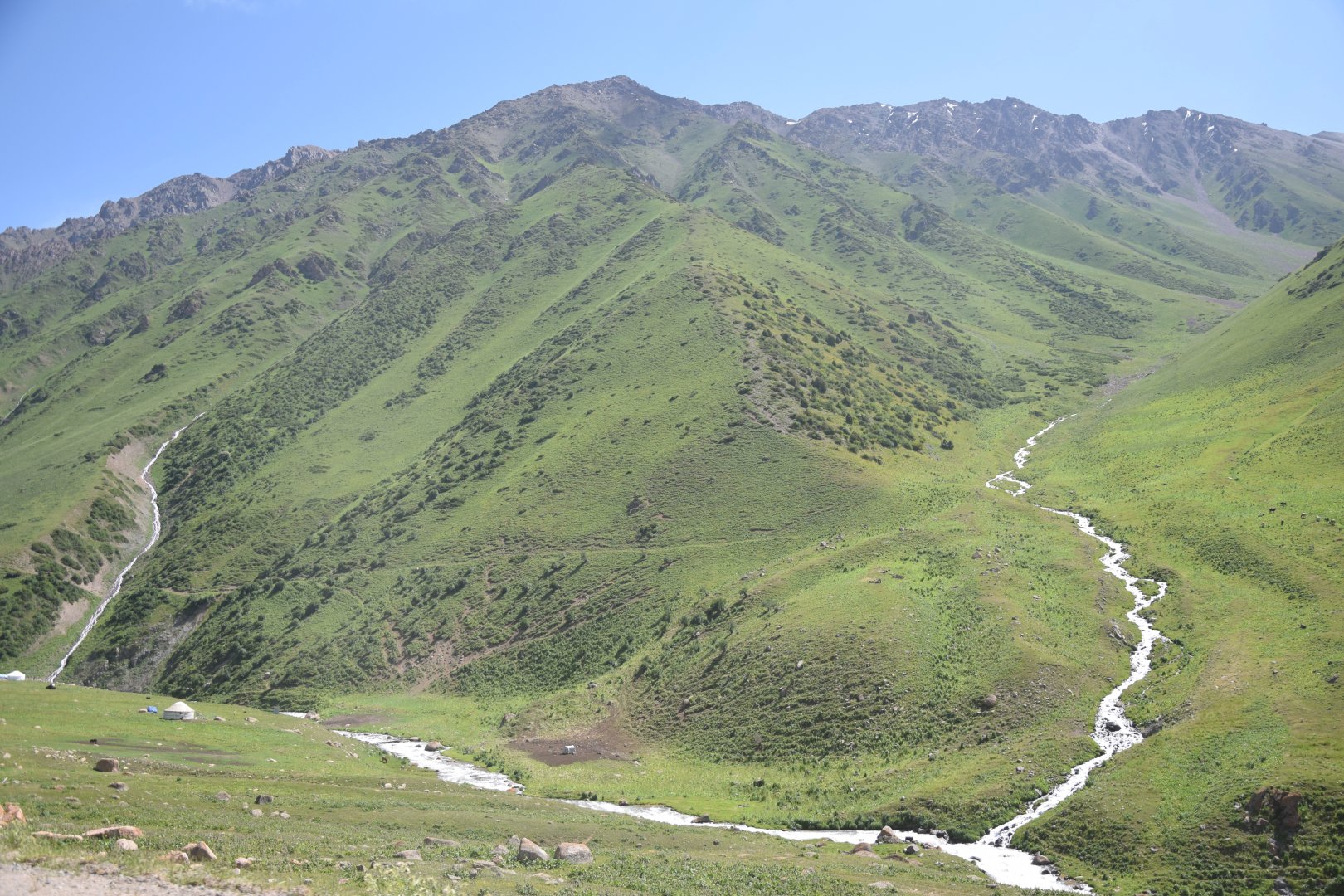 DSC_0951.JPG