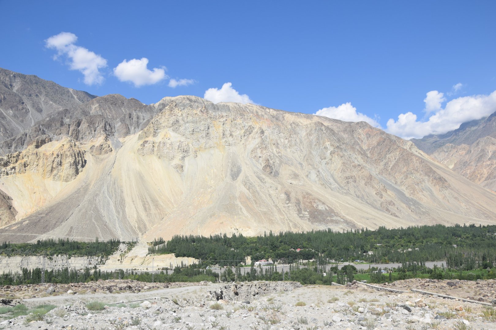 DSC_0934.JPG