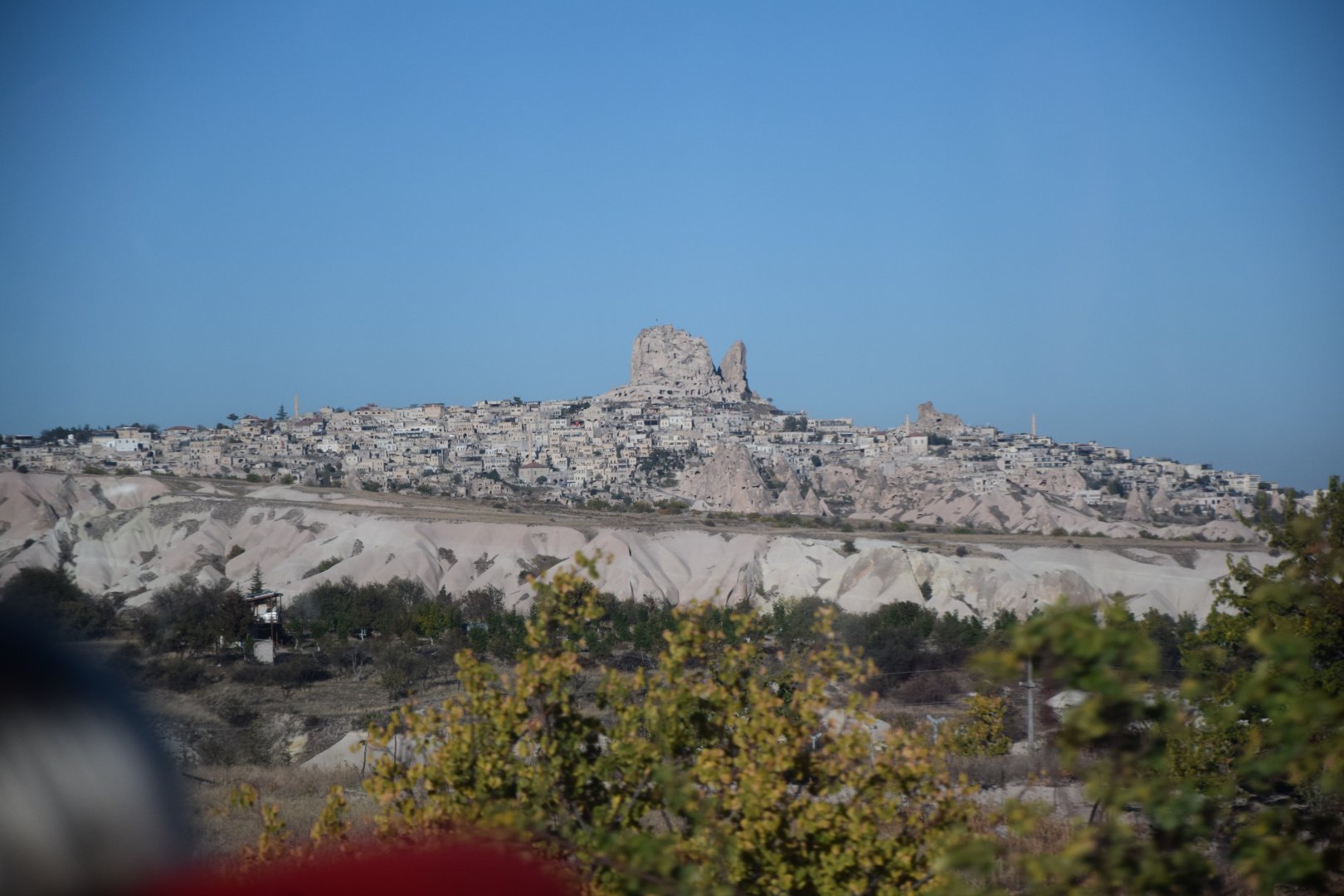 DSC_0796.JPG