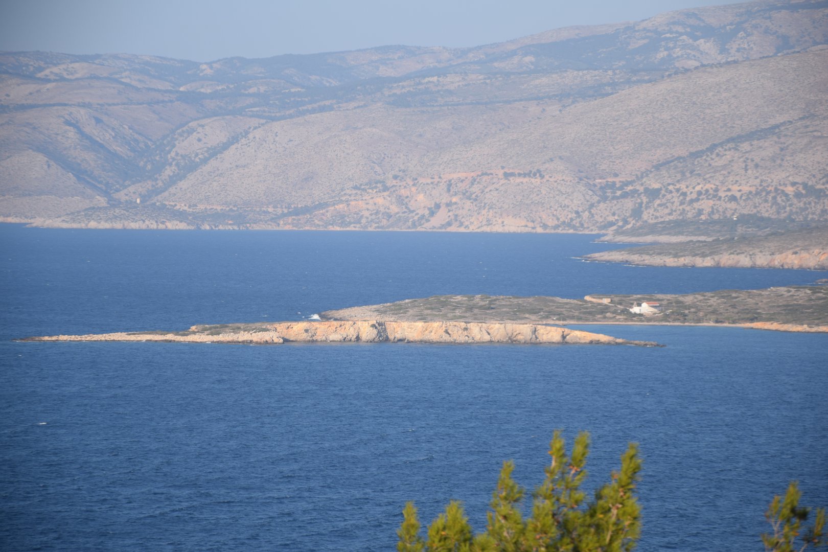 DSC_0310.JPG