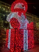 IMG_20241210_200413.jpg