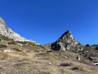 IMG_2433.jpeg
