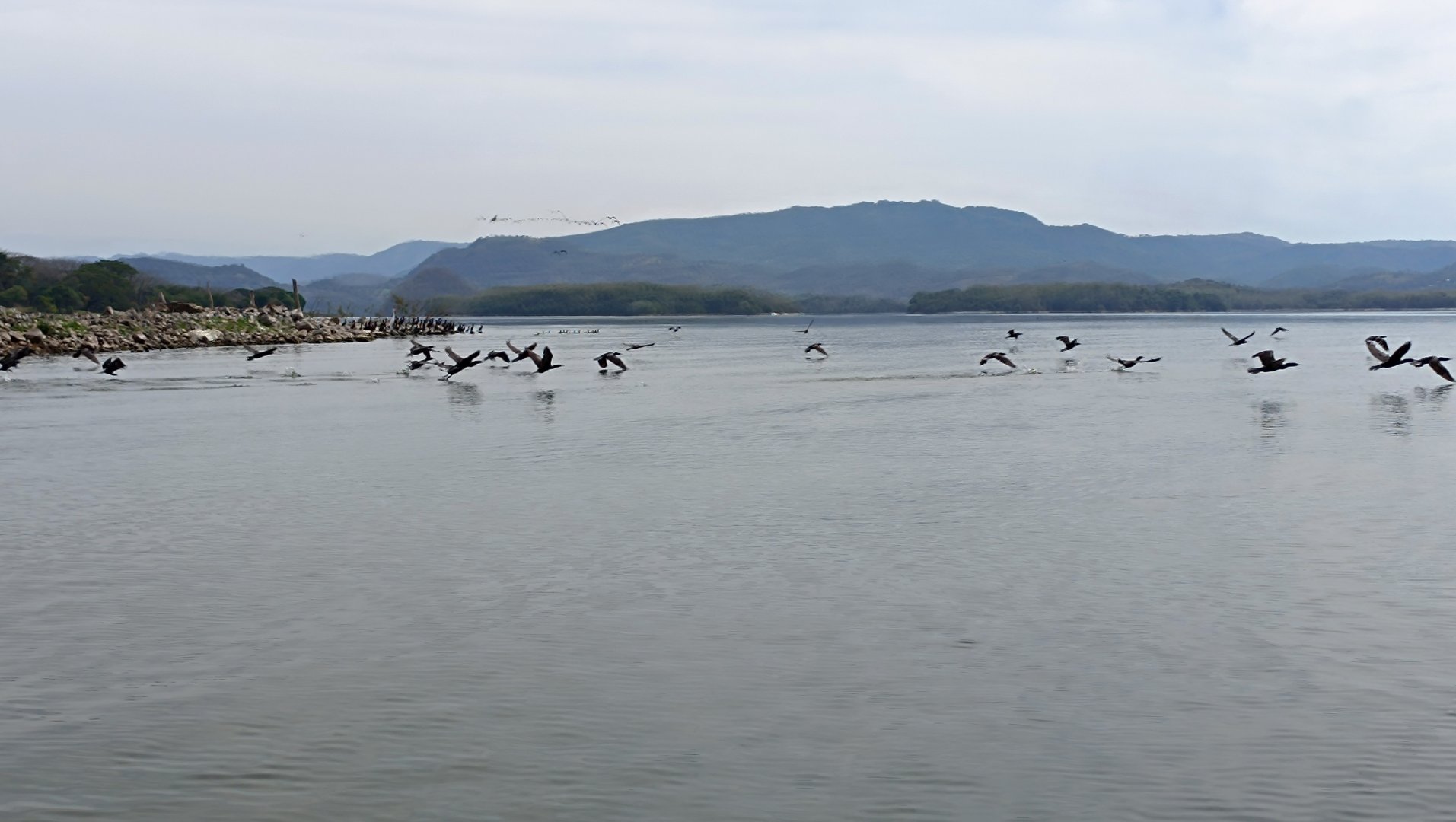 IMG_20250114_115420.jpg