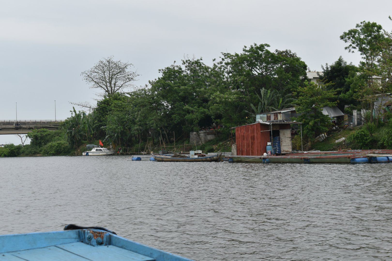 DSC_0390.JPG