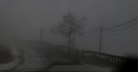 _MG_6346ps.jpg