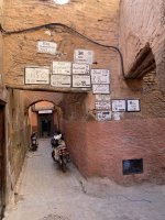 IMG_7764.jpeg