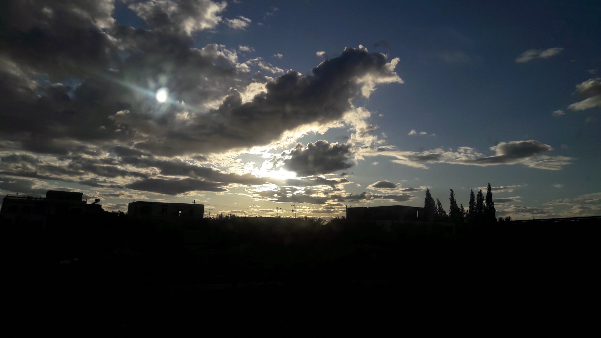 20250326_175247.jpg
