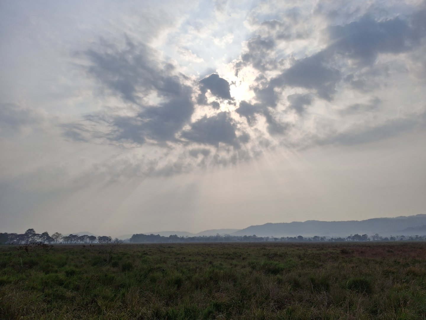 20250216_080531.jpg