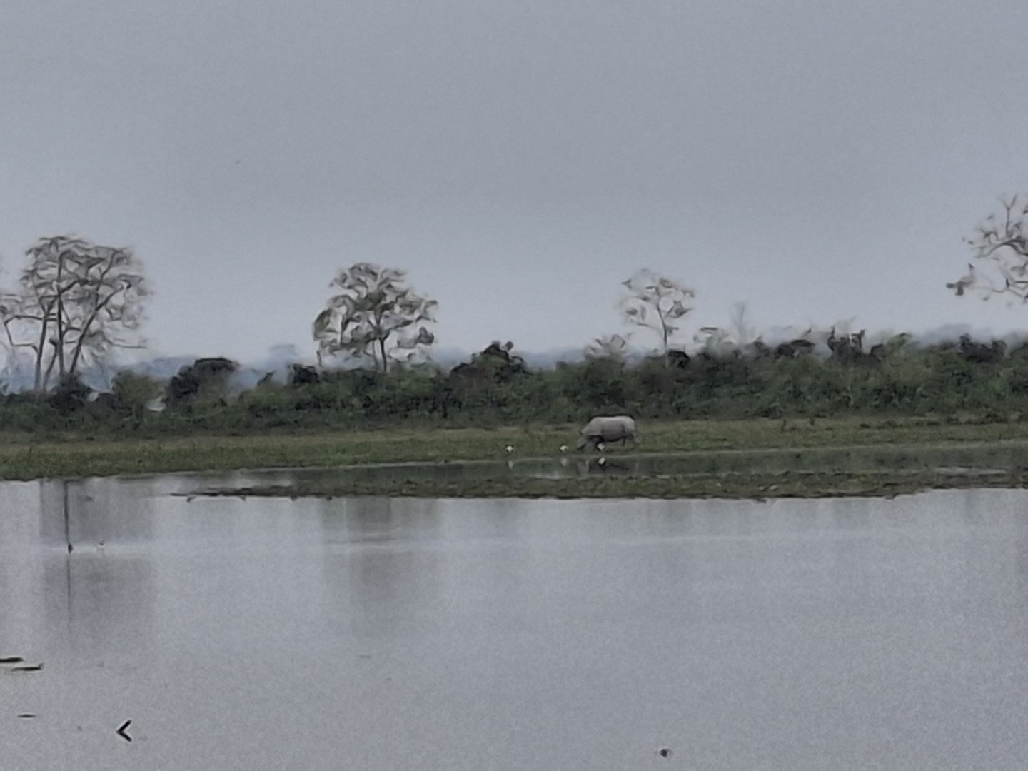 20250216_091911.jpg