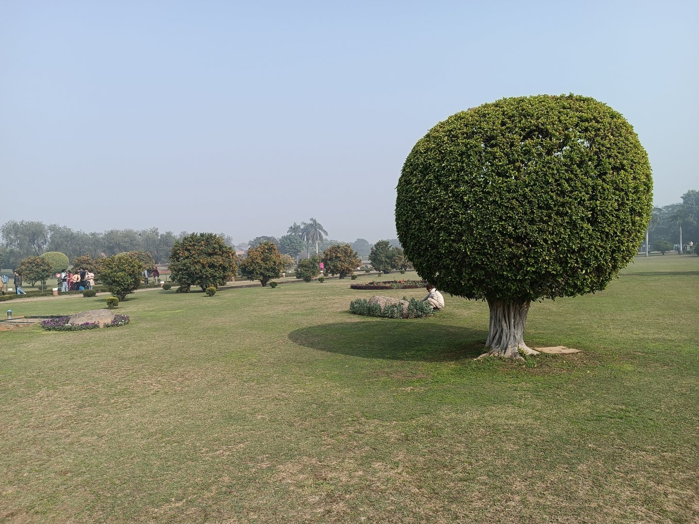 IMG_20250104_124253.jpg