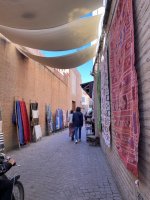 IMG_7889.jpeg