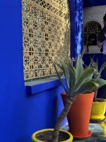 IMG_8269.jpeg