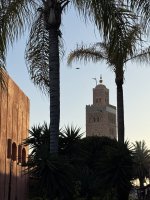 IMG_8045.jpeg