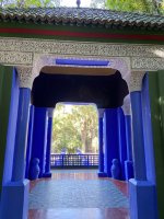 IMG_7967.jpeg