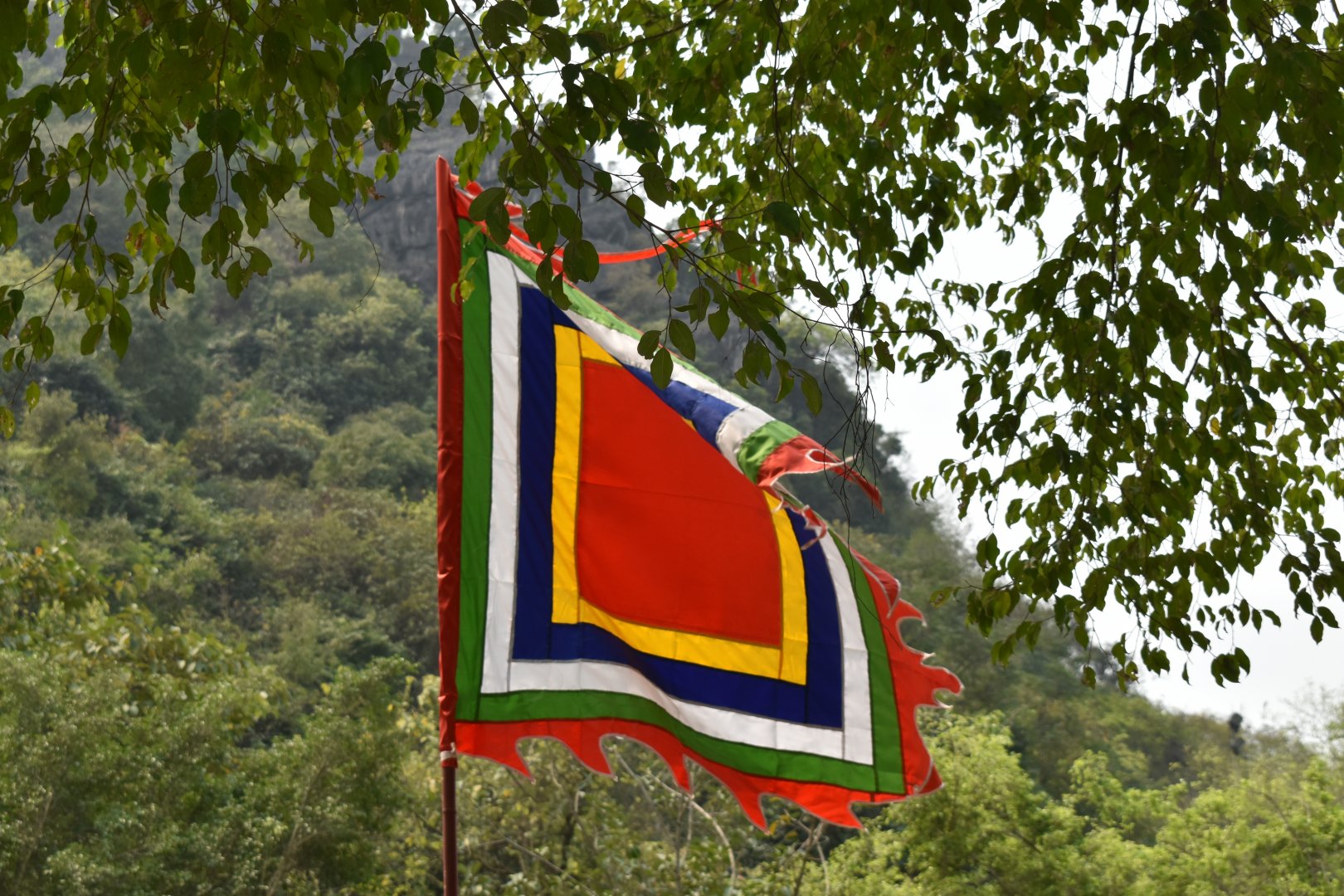 DSC_0272.JPG