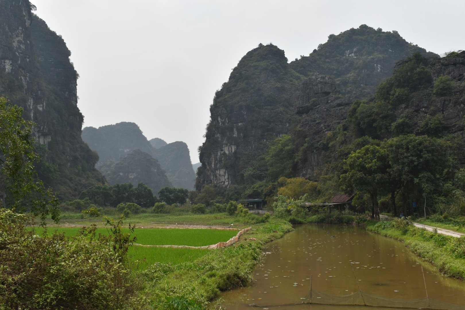 DSC_0311.JPG