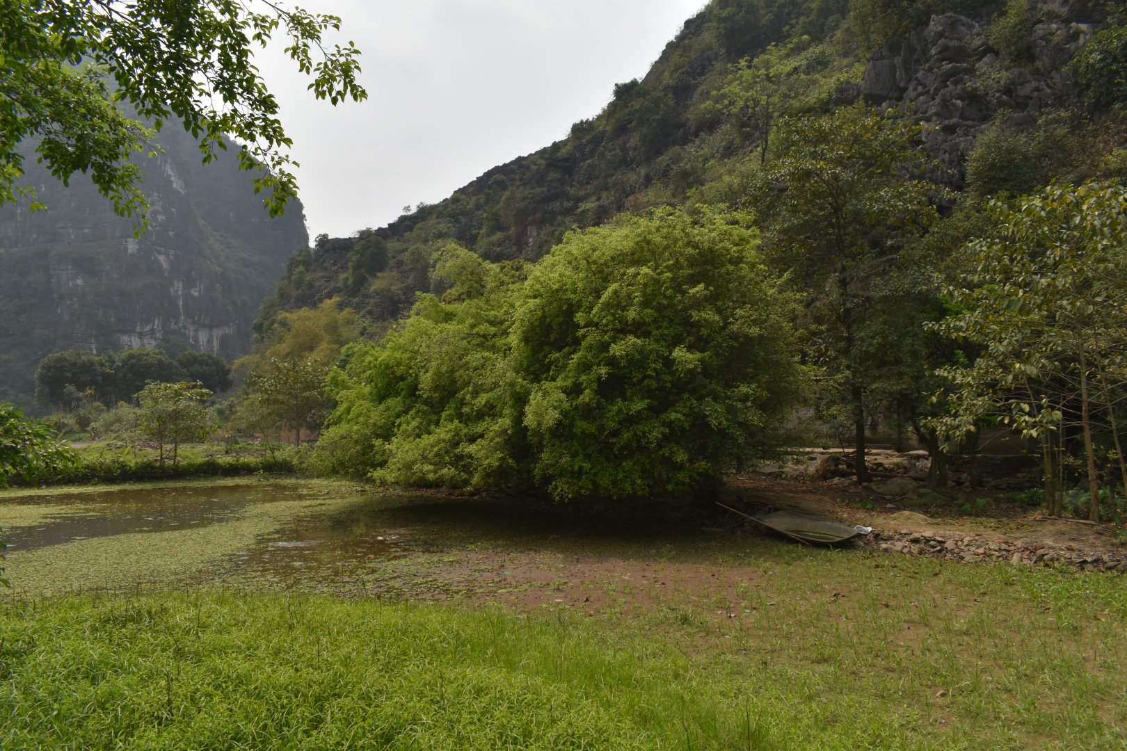 DSC_0305.JPG