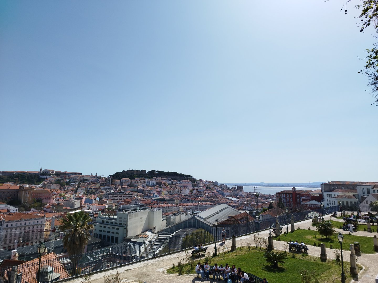 IMG_20250331_120104.jpg