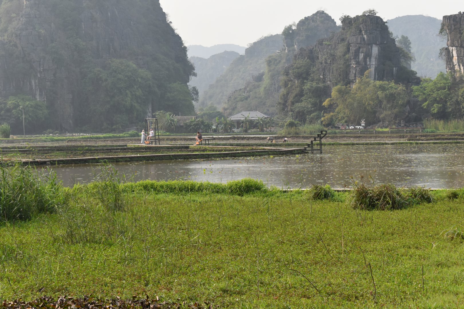 DSC_0423.JPG