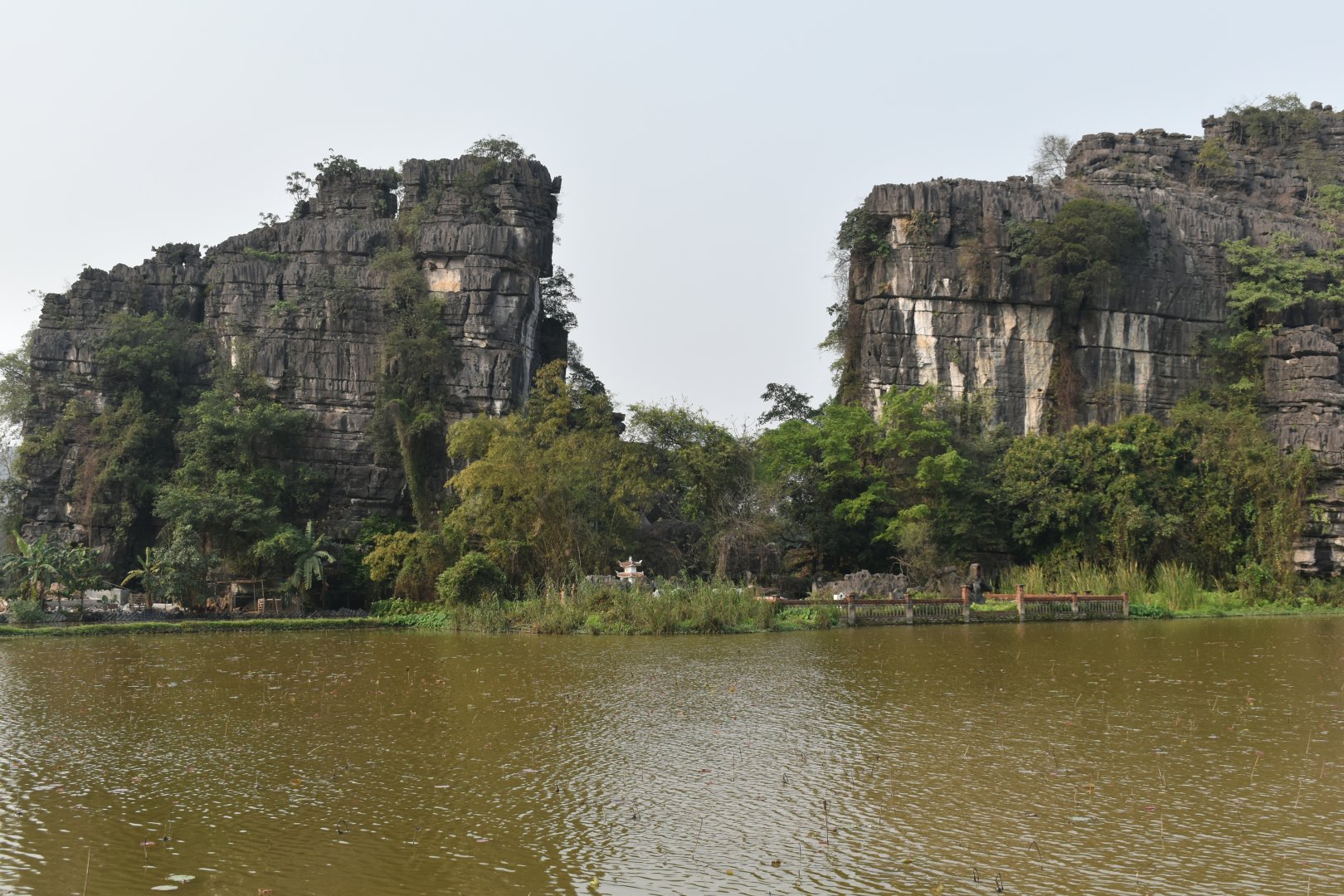DSC_0433.JPG