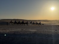 IMG_8568.jpeg