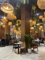 IMG_8124.jpeg