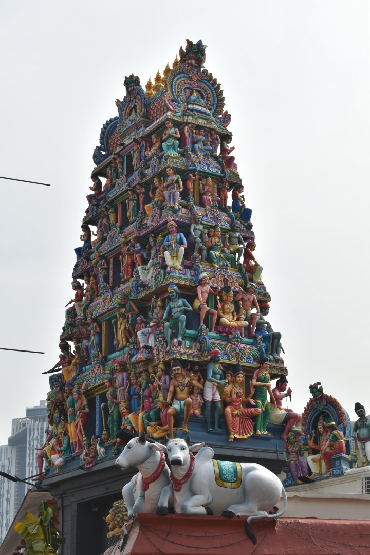 DSC_0027.JPG