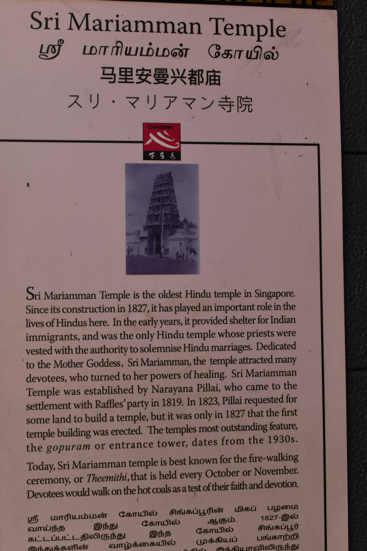 DSC_0029.JPG