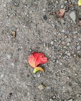 IMG_20250216_131406.jpg