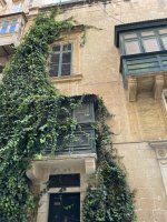 IMG_4305.jpeg