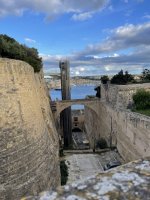 IMG_4397.jpeg