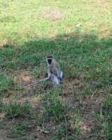 IMG_20250218_105334.jpg