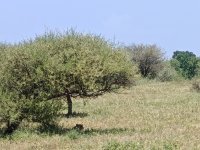 IMG_20250218_131657.jpg