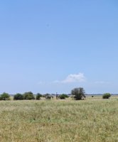IMG_20250218_131809.jpg