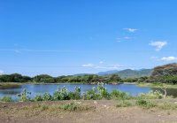 IMG_20250218_170216.jpg