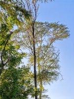 IMG_20250218_181920.jpg