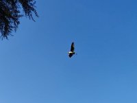 IMG20250218181655.jpg
