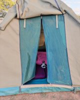 IMG_20250219_183701.jpg