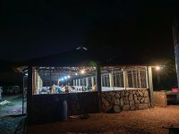 IMG_20250219_194628.jpg