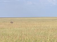 IMG_20250219_165516.jpg