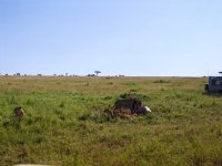 IMG_20250220_092026.jpg