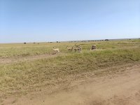 IMG20250220102934.jpg
