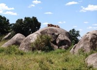 IMG20250220113324.jpg