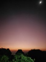 IMG20250222060215.jpg