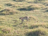 IMG_20250222_075228.jpg