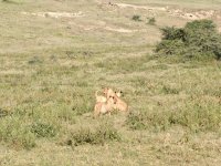 IMG_20250222_080644.jpg