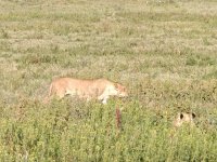IMG_20250222_080834.jpg