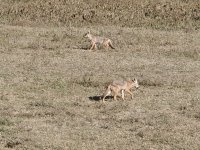 IMG_20250222_083257.jpg