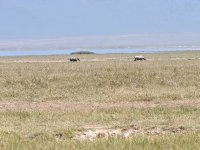 IMG_20250222_114138.jpg
