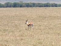 IMG_20250222_111211.jpg